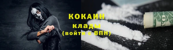 apvp Алексин
