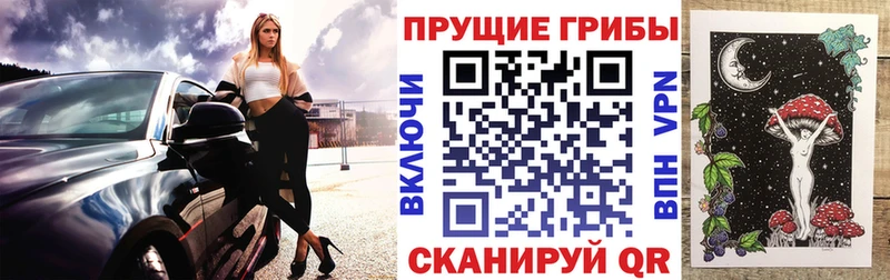 где купить наркоту  даркнет какой сайт  Псилоцибиновые грибы ЛСД  Электрогорск 
